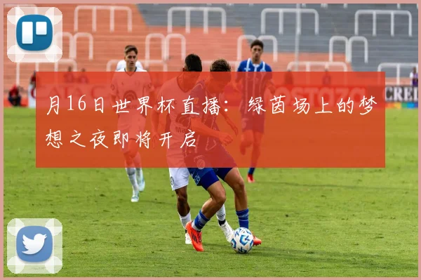 月16日世界杯直播：绿茵场上的梦想之夜即将开启