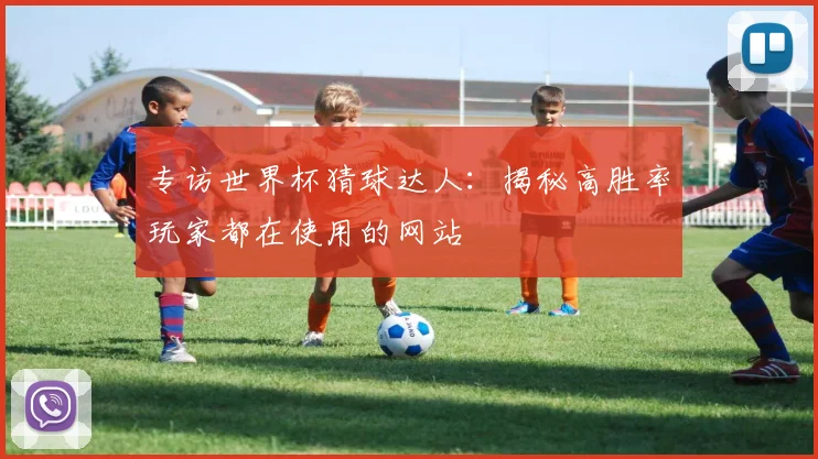 专访世界杯猜球达人：揭秘高胜率玩家都在使用的网站